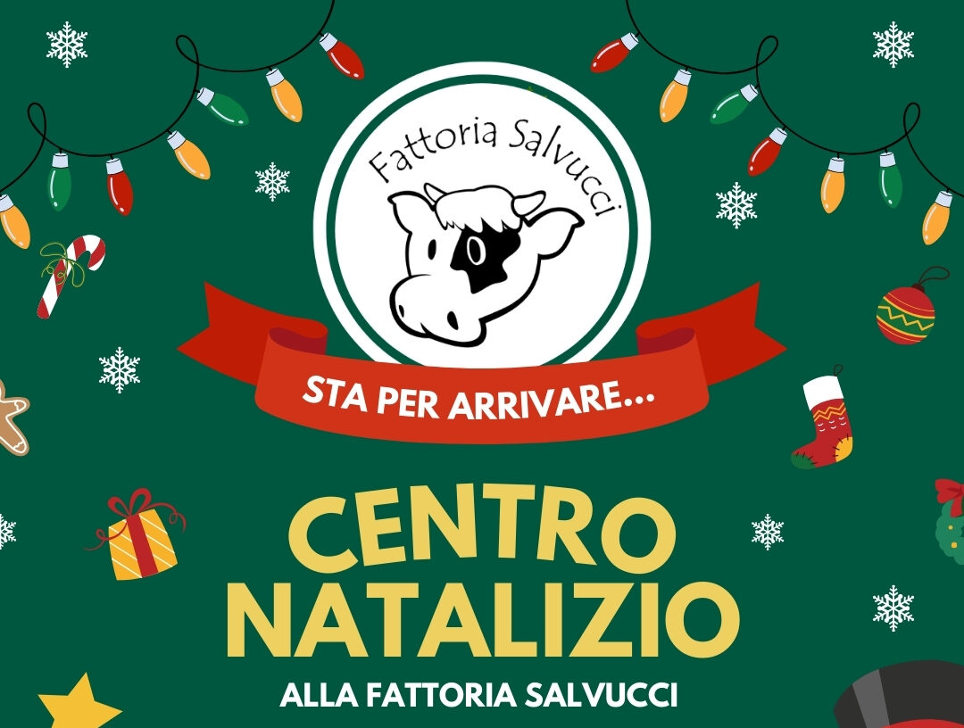CENTRO NATALIZIO 2023-2024🎄☃️