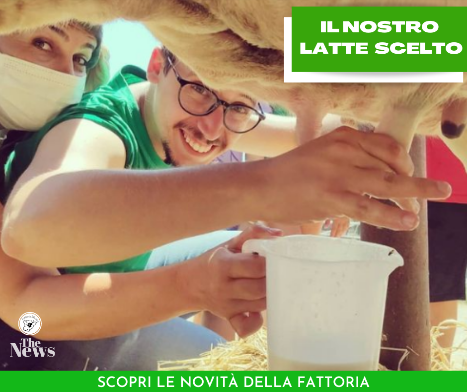 - [IMG] `Giornata-mondiale-del-latte.png`