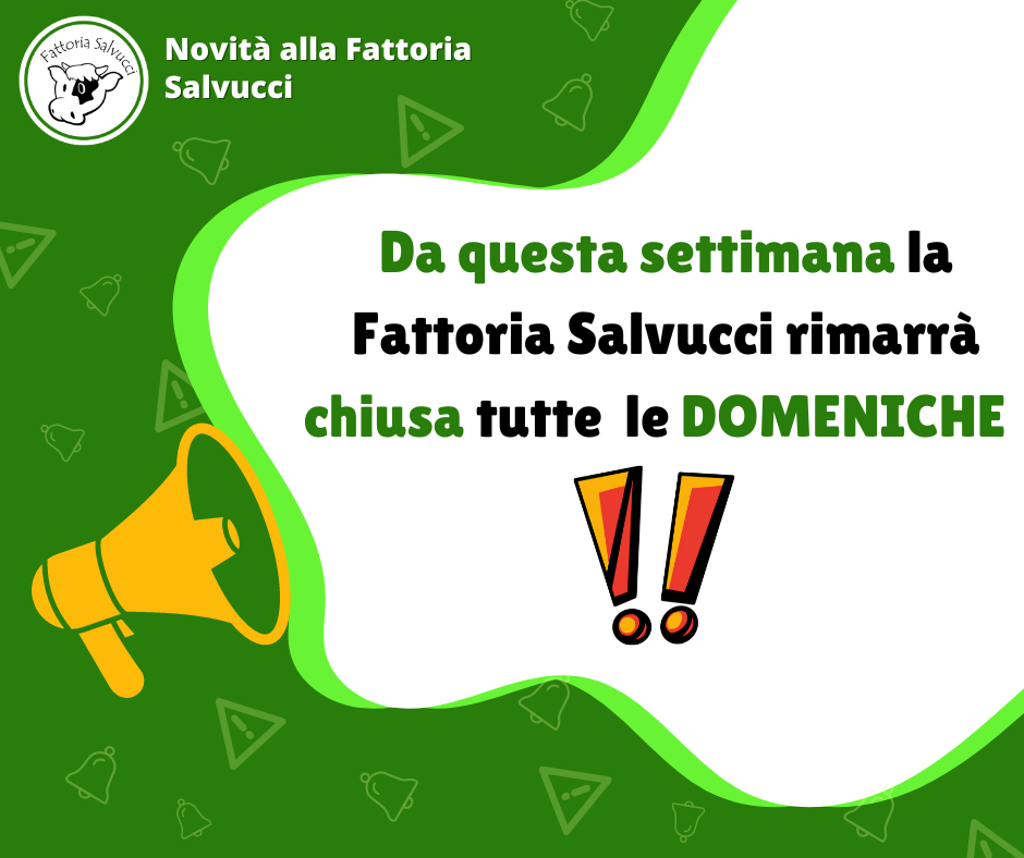 CHIUSI LA DOMENICA