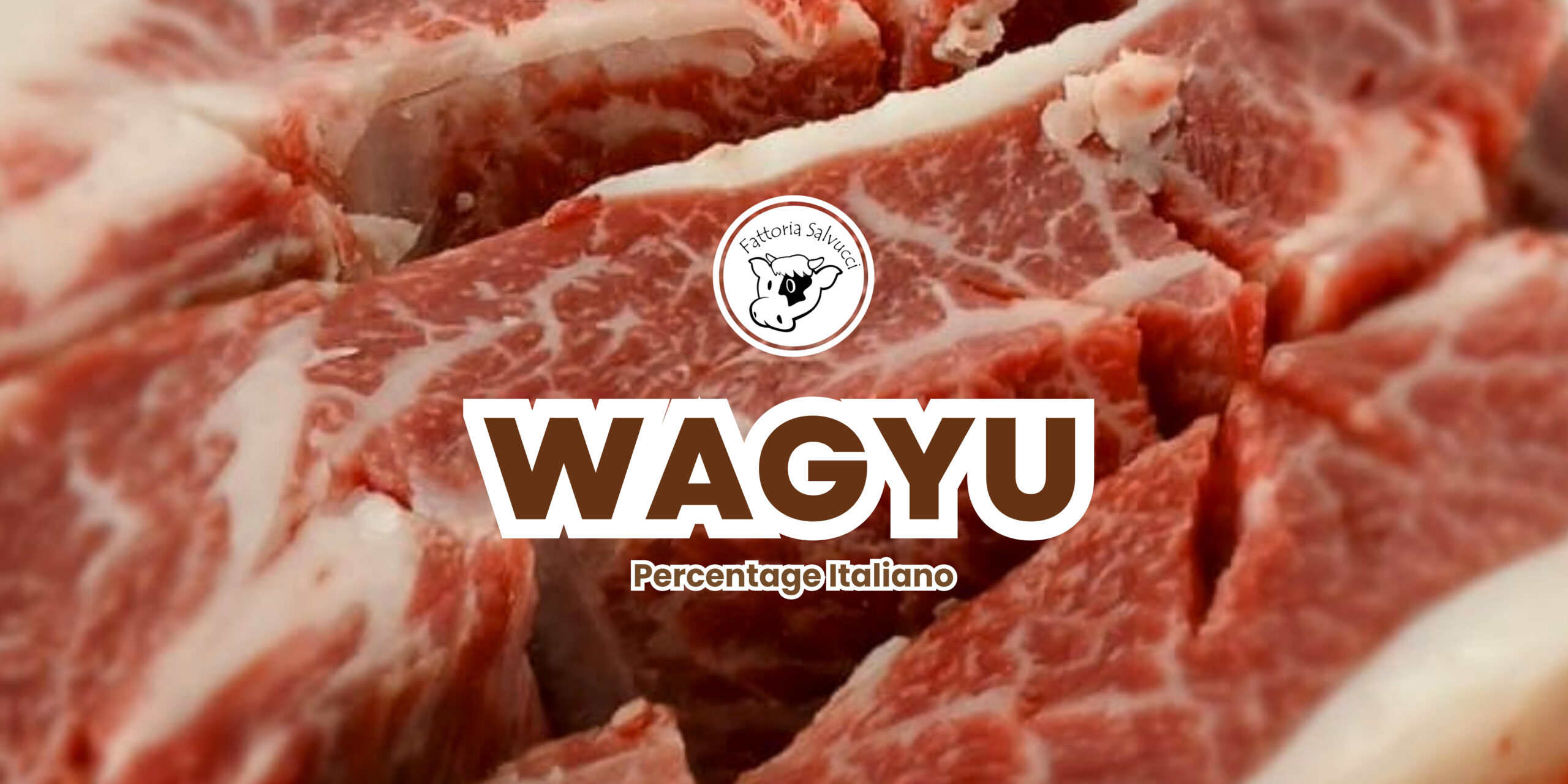 Il nostro manzo di Wagyu è una carne pregiata, ottenuta da bovini di razza Wagyu Percentage.Si tratta di un incrocio tra la razza giapponese Wagyu e vacche italiane selezionate.È ricca di grassi insaturi e contiene meno colesterolo rispetto ad altre carni. Il Wagyu (in particolare il Wagyu Percentage) ha un profilo lipidico favorevole, con una percentuale più alta di grassi insaturi (soprattutto monoinsaturi) rispetto ad altre carni bovine. Questo tipo di grasso è considerato “buono” dal punto di vista nutrizionale.