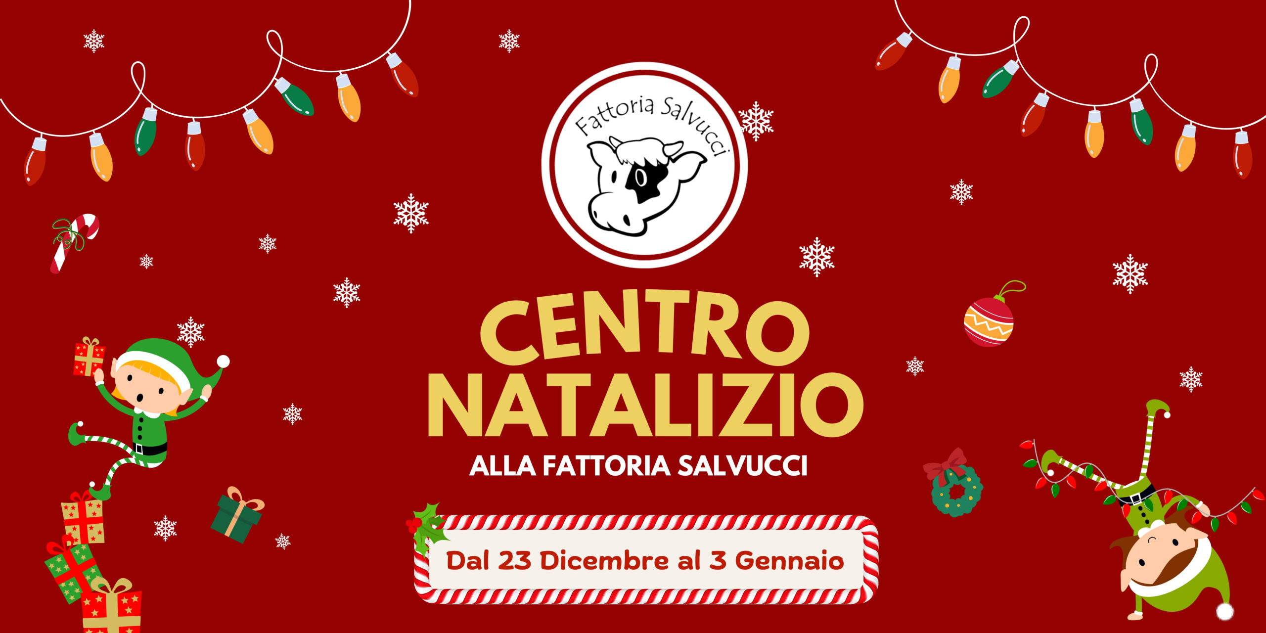 CENTRO NATALIZIO🎄2024-2025