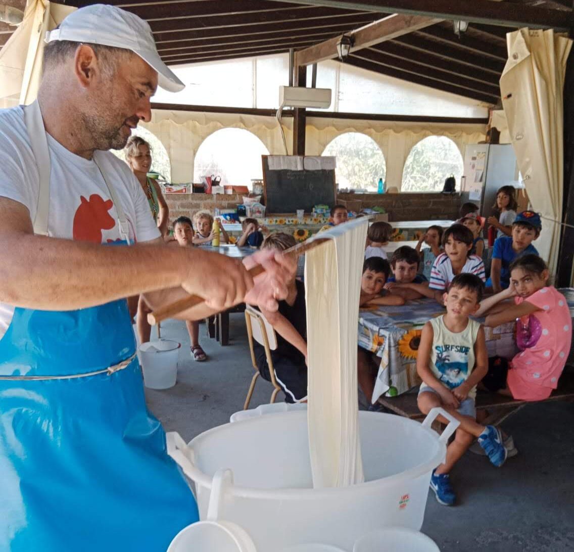Filatura della mozzarella (solo di mercoledì) Dopo aver assistito alla mungitura e ad aver provato a farla, i bambini seguono le diverse fasi della lavorazione della mozzarella e si avventurano in quella della filatura con le loro mani. Porteranno a casa due mozzarelline in ricordo della giornata. Costo: 13€ a bambino