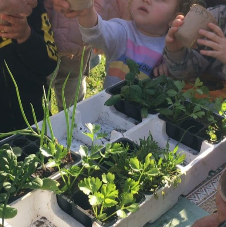 Prepariamo l’orto in vaso I bambini visitano l’orto della fattoria e preparano il terreno per la semina. Viene richiesto di portare un piccolo rifiuto organico per spiegare loro il compostaggio. Ognuno provvederà alla cura del proprio ortaggio piantato o seminato in dei vasetti da portare a casa. Dopo aver conosciuto i “nemici dei nostri campi”, i bambini utilizzano materiali di recupero creando fantasiosi spaventapasseri da applicare sul vasetto.