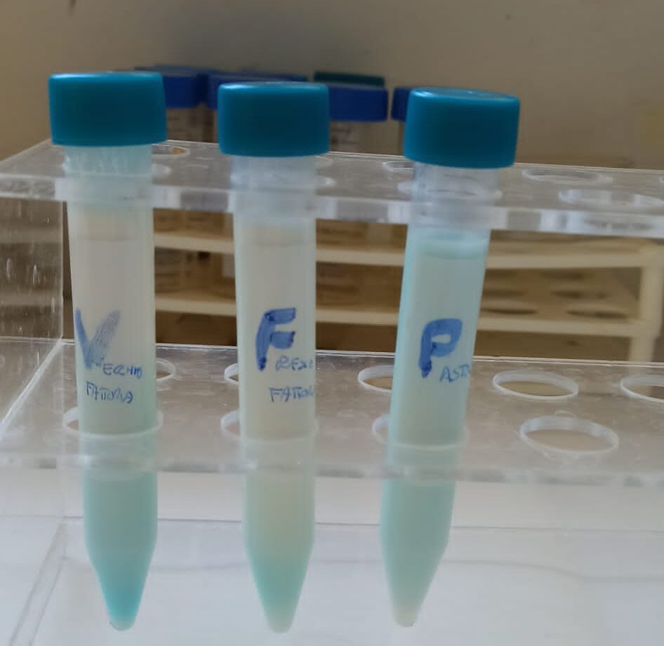 La microbiologia del latte: Per i ragazzi di seconda media o del liceo, faremo conoscenza con l’aspetto, le caratteristiche, le abitudini e gli habitat dei batteri. Con l’aiuto della Biologa impareremo a distinguere i batteri “buoni” dai “cattivi”. Osserveremo al microscopio le loro particolari forme e colori. Faremo un’esperienza di laboratorio di Microbiologia esplorando la flora batterica del latte appena munto e del latte vecchio di qualche giorno. Si può abbinare questo laboratorio al laboratorio di formaggio, ricotta o mozzarella.