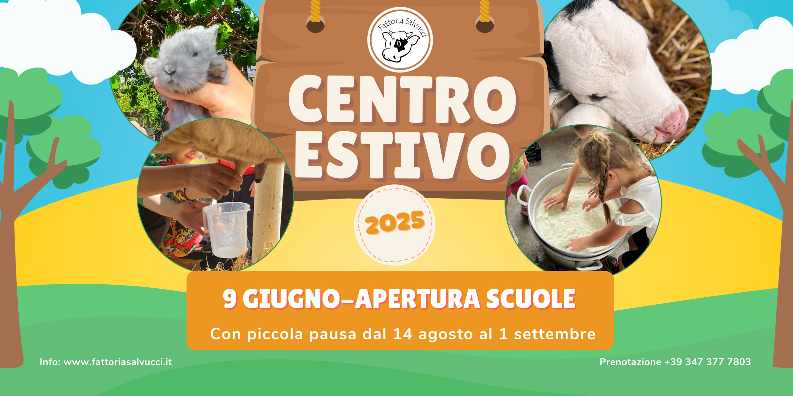 CENTRO ESTIVO🌻 2025