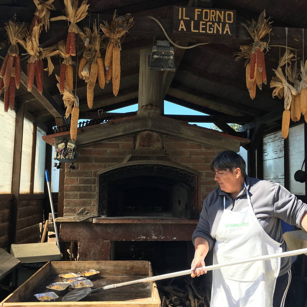Dal grano al pane: In questa giornata i bambini assistono alla macinatura del grano, con un piccolo mulino, per ottenere la farina che utilizzano poi per preparare l’impasto con il lievito madre. Ognuno farà il proprio panino da portare a casa. Per i bambini Celiaci: Impastano con farina senza glutine (Riso,Mais).