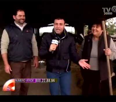 Fabio Bolzetta durante il programma “Nel cuore dei giorni” si collega con Nicola Ferrante che si trova nella Fattoria Salvucci di Palidoro. Si ricorda la vita di campagna, i momenti belli e quelli più difficili. Come si mungeva una volta? La famiglia Salvucci è partita con circa 12 vacche, oggi in fattoria ce ne sono circa 300.